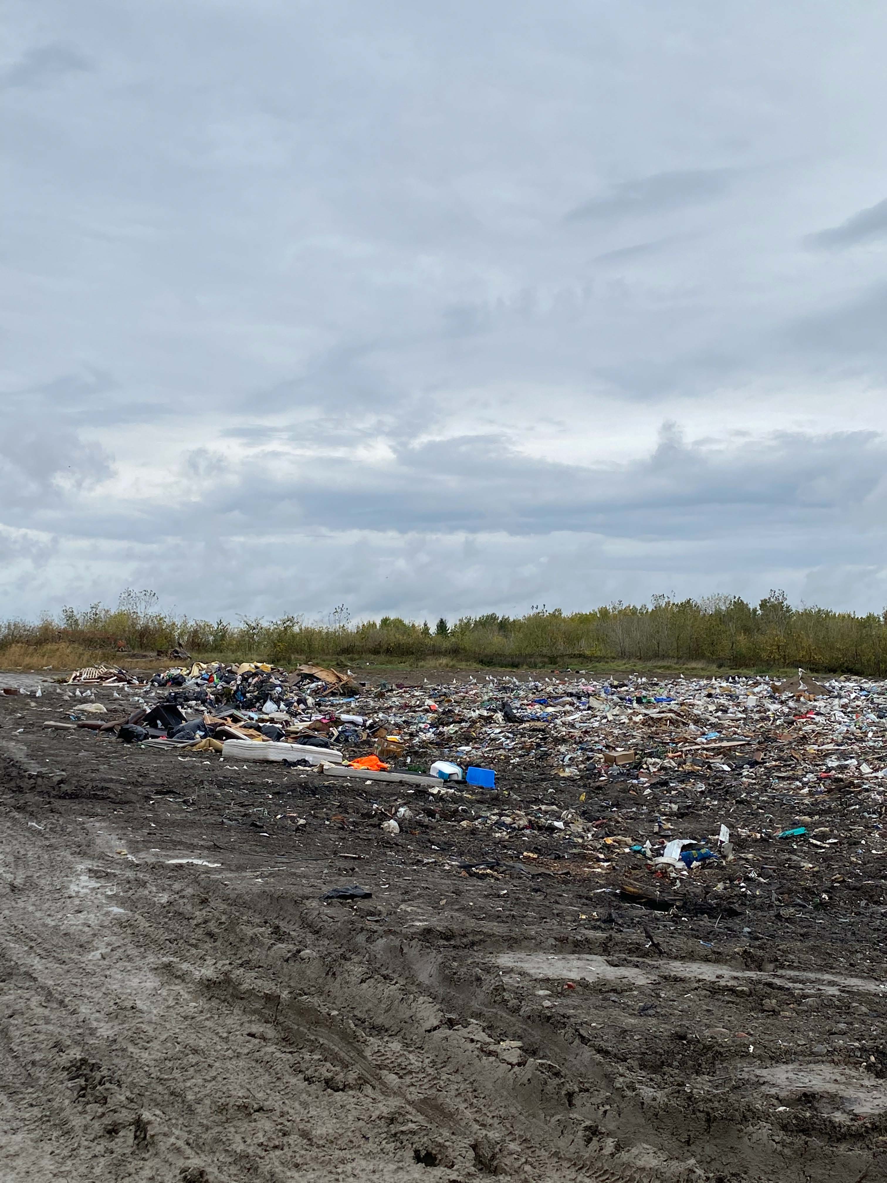 Waste Management Plan EA Let's Connect North Dundas